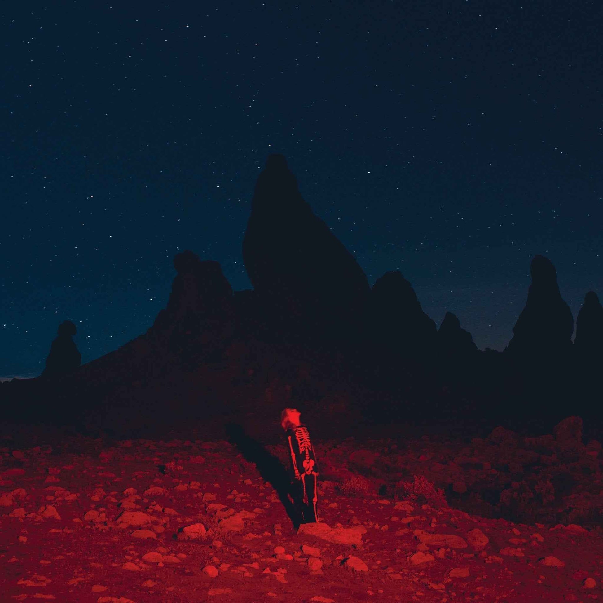 Phoebe Bridgers: Punisher LP - Black Vinyl