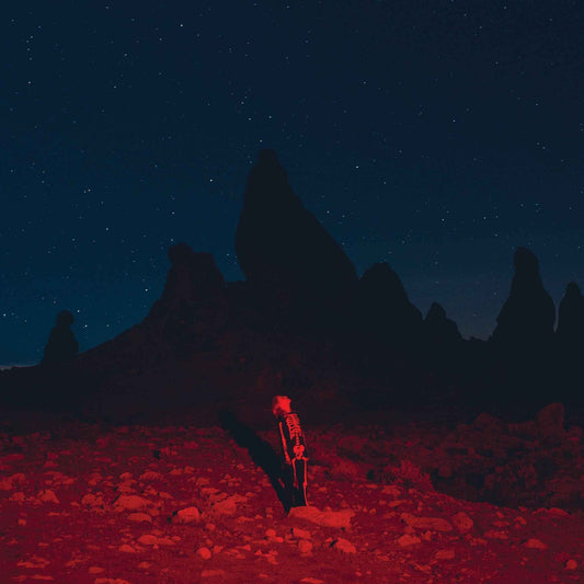 Phoebe Bridgers: Punisher LP - Black Vinyl