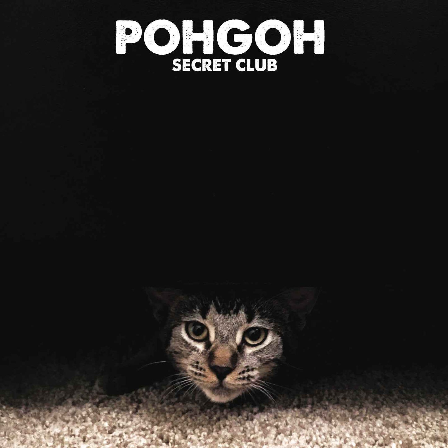 Pohgoh: Secret Club: Black Vinyl