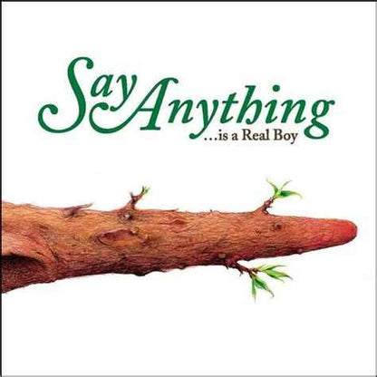 Say Anything: Is a Real Boy: 2LP Vinyl