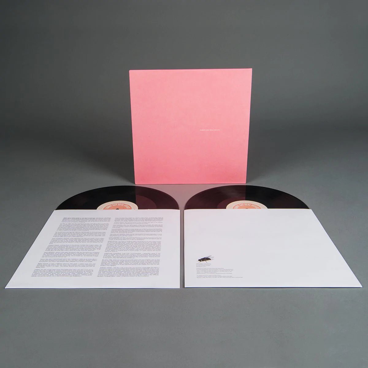 Sunny Day Real Estate: LP2: 2LP: Black Vinyl - Steadfast Records